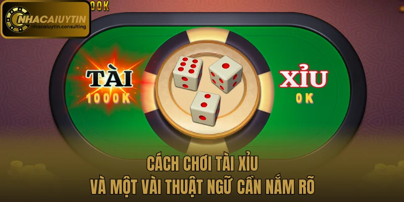 Cách chơi tài xỉu và một vài thuật ngữ cần nắm rõ
