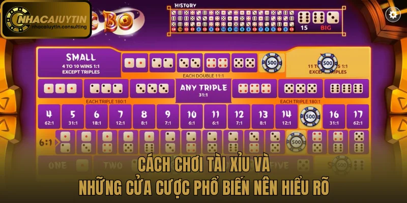 Cách chơi tài xỉu và những cửa cược phổ biến nên hiểu rõ