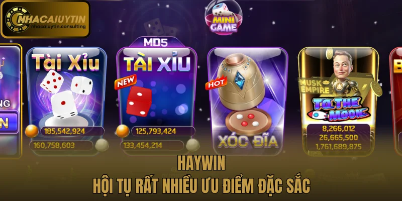Haywin hội tụ rất nhiều ưu điểm đặc sắc