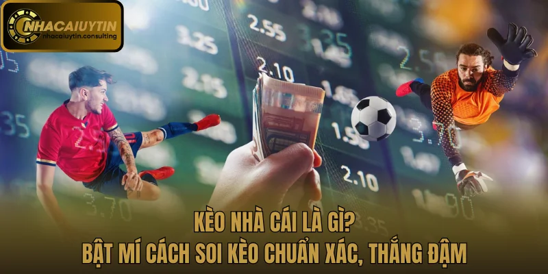Kèo Nhà Cái Là Gì? Bật Mí Cách Soi Kèo Chuẩn Xác, Thắng Đậm
