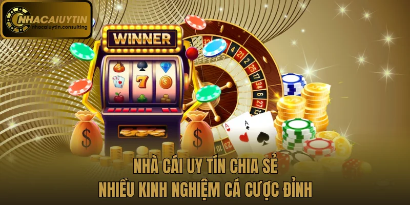 Nhà cái uy tín chia sẻ nhiều kinh nghiệm cá cược đỉnh