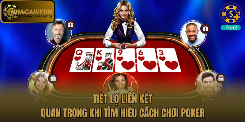 Tiết lộ liên kết quan trọng khi tìm hiểu cách chơi Poker